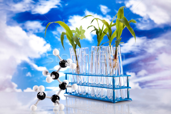Stock foto: Biotechnologie · chemischen · Labor · Glasgeschirr · bio