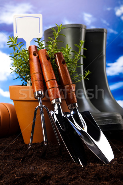 Gardening time, garden, vivid bright springtime concept Stock photo © JanPietruszka