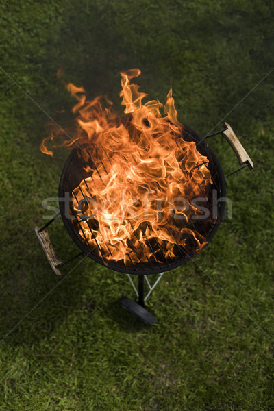 Barbecue grill with fire on nature, outdoor, close up Stock photo © JanPietruszka