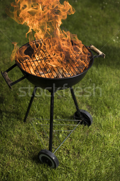 Grill with red hot briquettes, fire background Stock photo © JanPietruszka