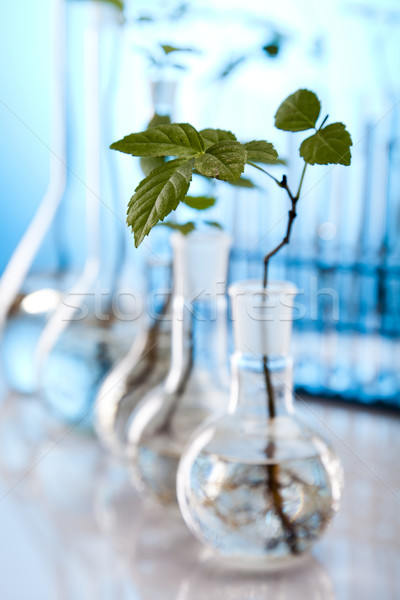 Foto stock: Floral · ciência · laboratório · planta · natureza · medicina