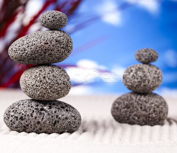 Evenwichtige zen stenen groep rock ontspannen Stockfoto © JanPietruszka