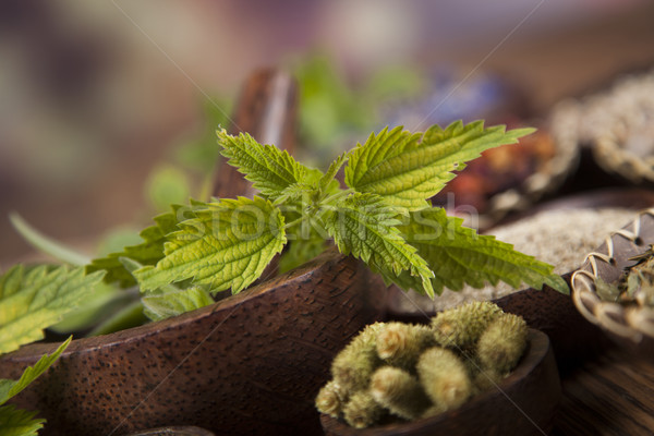 Natural medicine, wooden table background Stock photo © JanPietruszka