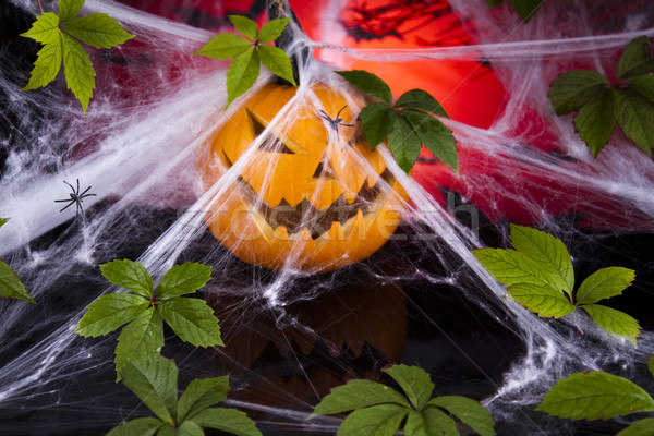 Halloween background with web and spider,pumpkin  Stock photo © JanPietruszka