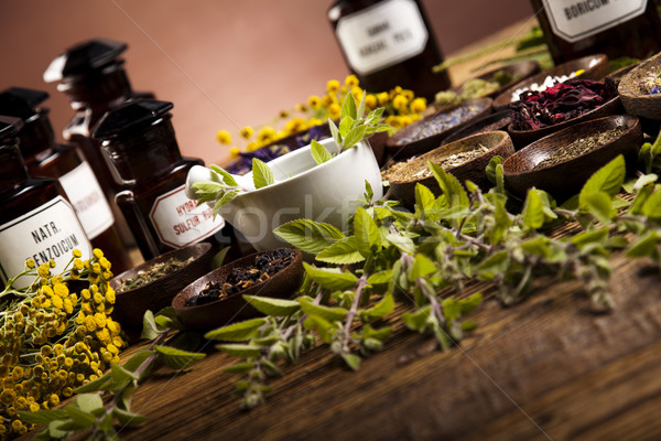 Medicina alternativa secado hierbas naturaleza belleza medicina Foto stock © JanPietruszka
