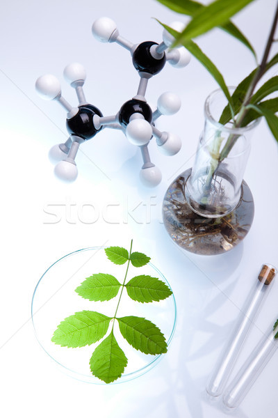 Chemistry equipment, plants laboratory experimental Stock photo © JanPietruszka