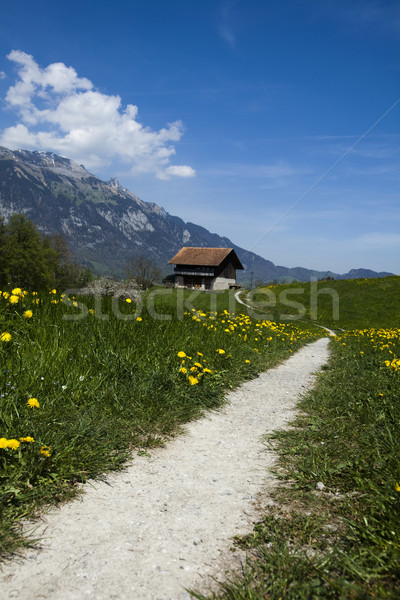  Spring landscape in mountains, apls Stock photo © JanPietruszka