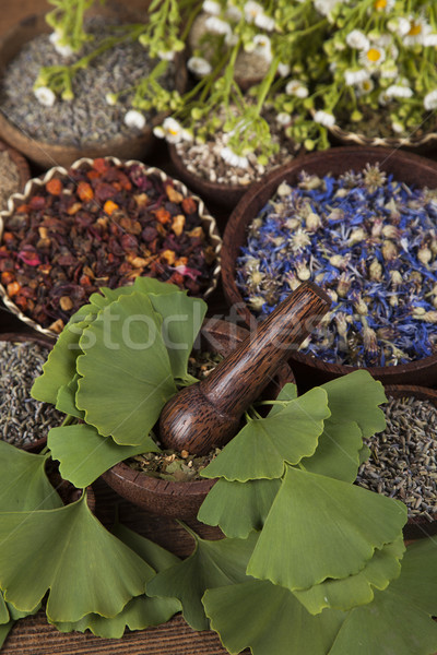 Alternatív gyógymód aszalt gyógynövények természetes orvosi természet Stock fotó © JanPietruszka