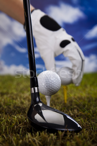 Golf tee  Stock photo © JanPietruszka
