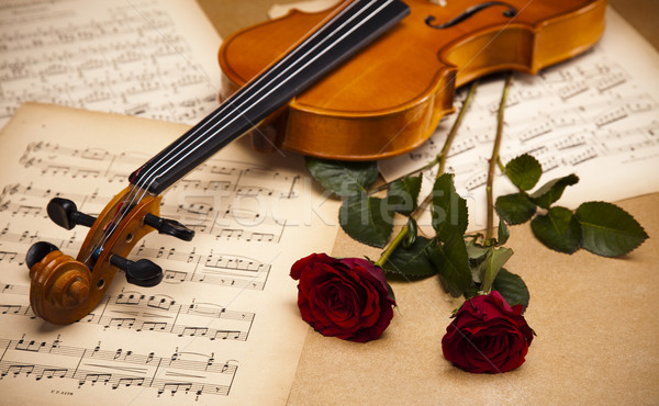 Stock fotó: Vörös · rózsák · hegedű · virág · szeretet · levél · gyertya