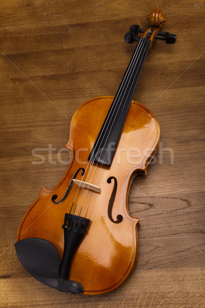 Classical violin Stock photo © JanPietruszka