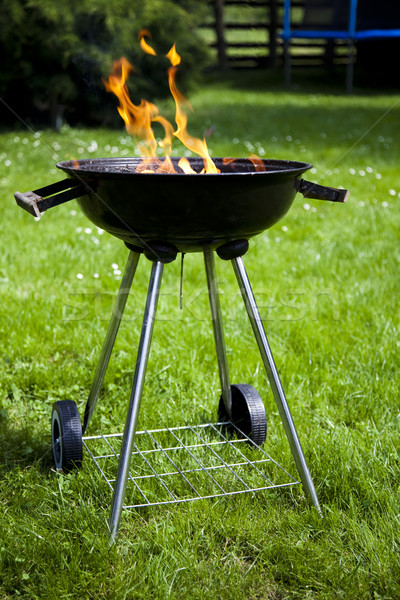 Cuisson barbecue lumineuses coloré alimentaire Photo stock © JanPietruszka