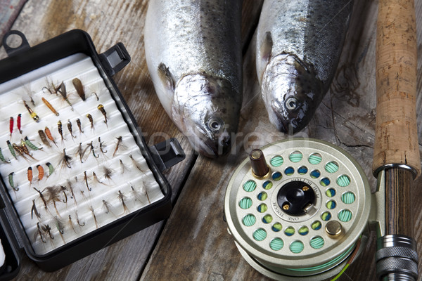 Stock foto: Fischerei · natürlichen · Essen · Natur · Fluss · fliegen