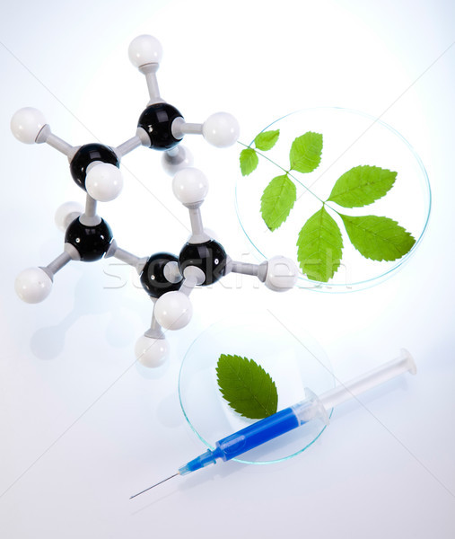 Science experiment with plant laboratory Stock photo © JanPietruszka