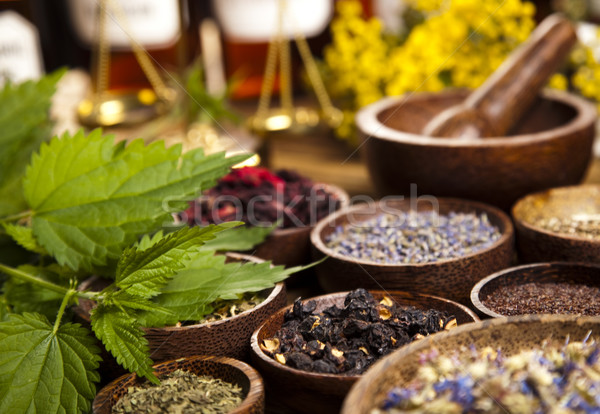 Herbs medicine and vintage wood Stock photo © JanPietruszka