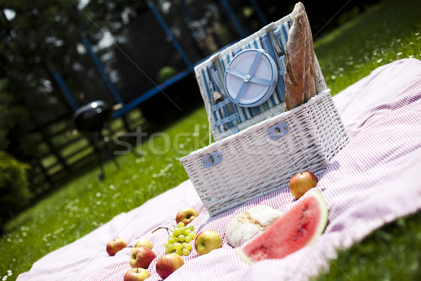 Stok fotoğraf: Piknik · sepeti · bahar · renkli · canlı · bahar · çim