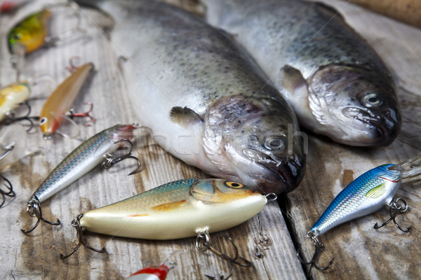 Balık tutma doğal gıda doğa nehir uçmak Stok fotoğraf © JanPietruszka