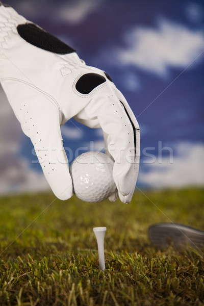 Сток-фото: гольф · закат · газона · жизни · луговой · объект