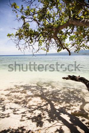 Sea and coastlines of Gili Air, Indonesia Stock photo © JanPietruszka