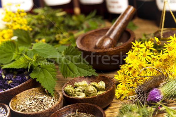 Frischen Heilkräuter Holz Schreibtisch Natur Schönheit Stock foto © JanPietruszka