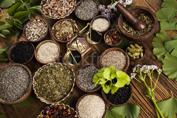 Alternatieve geneeskunde gedroogd kruiden natuurlijke medische natuur Stockfoto © JanPietruszka
