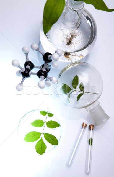 Laboratorio cristalería bio orgánico moderna vidrio Foto stock © JanPietruszka