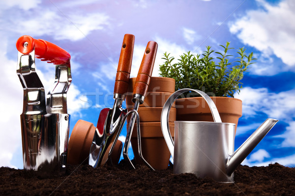 Garden Tools, vivid bright springtime concept Stock photo © JanPietruszka