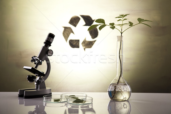 Ekoloji laboratuvar deney bitkiler doğa tıp Stok fotoğraf © JanPietruszka