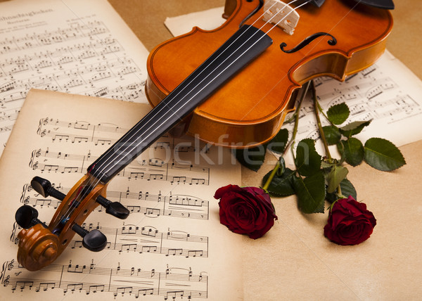 Foto stock: Violín · aumentó · flor · amor · hoja · vela