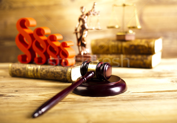 Paragraph, law theme, mallet of judge, wooden gavel Stock photo © JanPietruszka