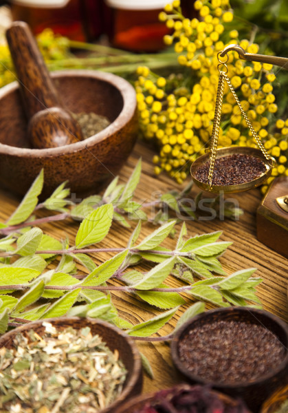 Foto stock: Naturalismo · médico · ervas · natureza · beleza · medicina