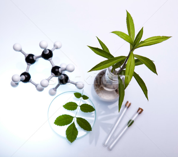 Plantă epruvetă mâini om de ştiinţă medical viaţă Imagine de stoc © JanPietruszka
