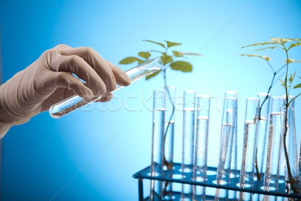 Zdjęcia stock: Eco · laboratorium · charakter · muzyka · roślin · laboratorium