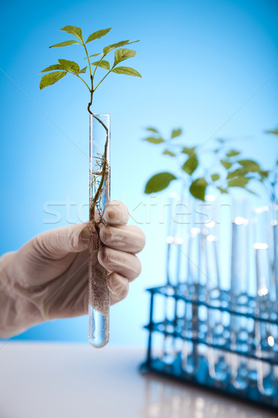 Plant laboratory Stock photo © JanPietruszka