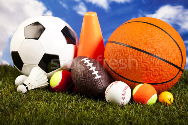 Zdjęcia stock: Grupy · sprzęt · sportowy · naturalnych · kolorowy · sportu · piłka · nożna