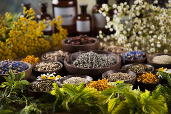 Herbs medicine and vintage wooden desk background Stock photo © JanPietruszka
