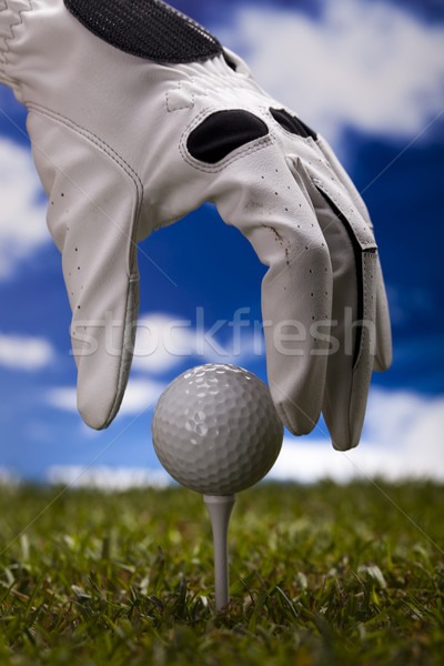 Stockfoto: Hand · golfbal · zonsondergang · gazon · lifestyle · weide