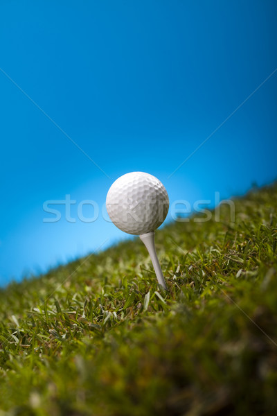 Zdjęcia stock: Piłeczki · do · golfa · zielone · łące · wygaśnięcia · trawnik · życia