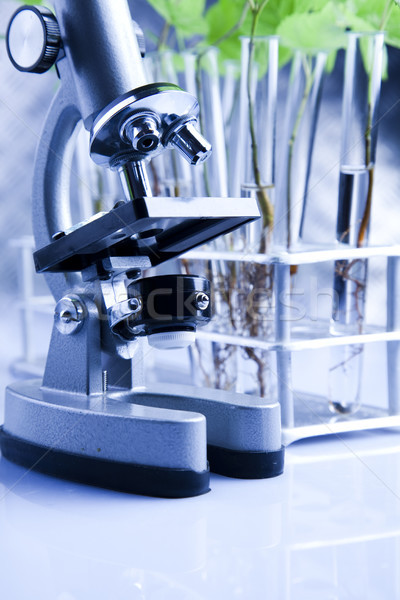Laboratorium bio organisch moderne geneeskunde wetenschap Stockfoto © JanPietruszka