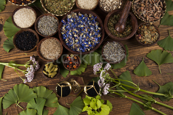 Fresh medicinal herbs on wooden background Stock photo © JanPietruszka