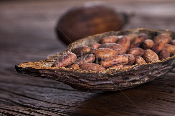 Cocoa pod on wooden table Stock photo © JanPietruszka