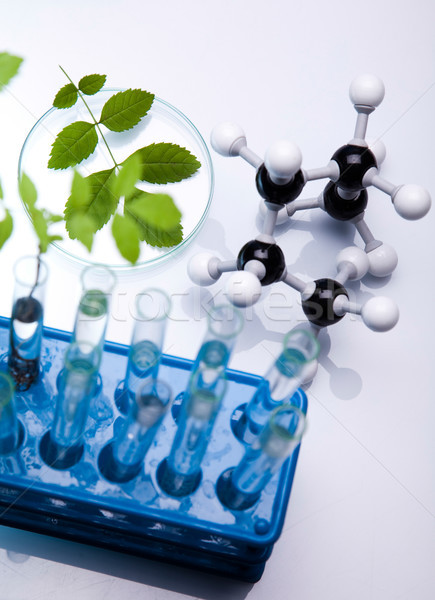 Laboratory glassware equipment, Experimental plant Stock photo © JanPietruszka