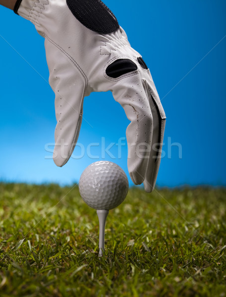 Golf club Stock photo © JanPietruszka