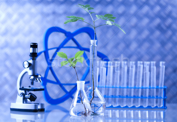 Stock photo: Laboratory, bio organic modern concept