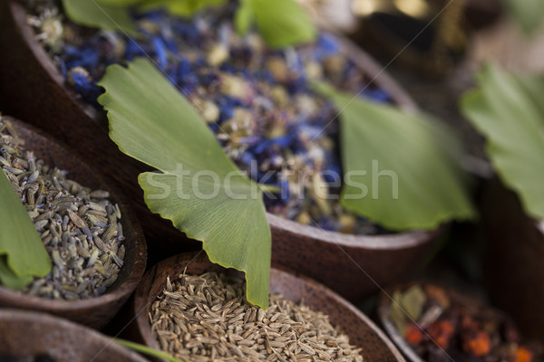 Stockfoto: Boom · natuurlijke · remedie · houten · tafel · natuur · schoonheid