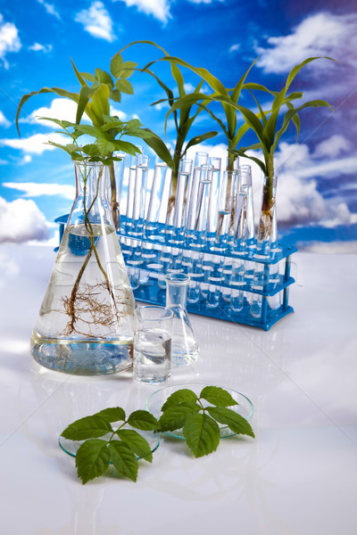 Nauki eksperyment roślin laboratorium medycznych życia Zdjęcia stock © JanPietruszka