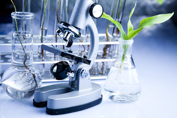 Biotechnology, Chemical laboratory glassware, bio organic modern concept Stock photo © JanPietruszka