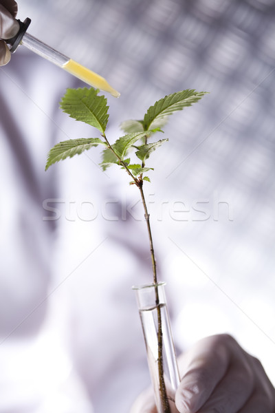 Chemistry equipment, plants laboratory experimental Stock photo © JanPietruszka
