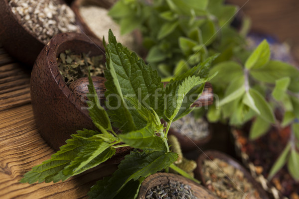 Natural remedy,Herbal medicine and wooden table background Stock photo © JanPietruszka