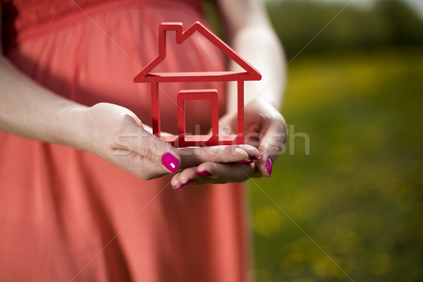 [[stock_photo]]: Maison · prairie · printemps · jeunes · belle · femme · enceinte